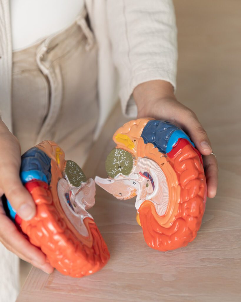 Andrea Guitérrez Psicoterapeuta con una figurina de la mente humana